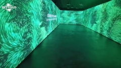 Bitvisus ten projectors immersive room solution